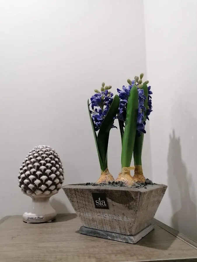 Apartmán Le Due Pigne - Palermo